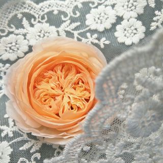 sgk_5_151411619990