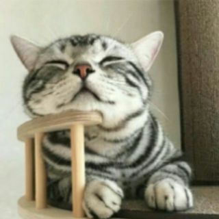 巷九