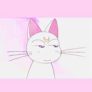 旧巷等你