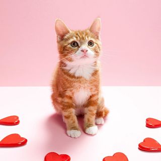 ヾ^_^♪