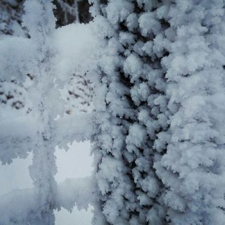 一屋子雪