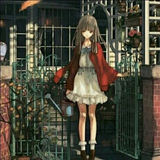 时雨叶落
