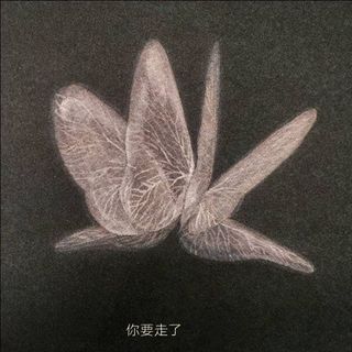 傅。。