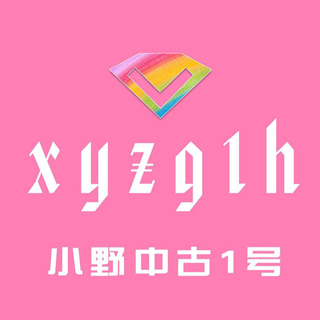 小野xyzg1h