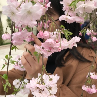 sgk_1_1522051663681