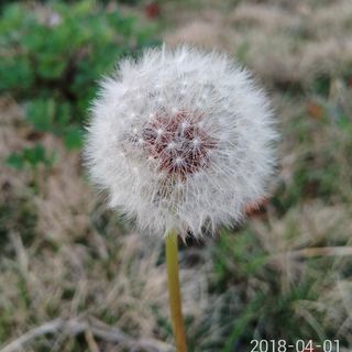 sgk_5_1522386253975