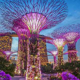 sgk_2_1522913850623
