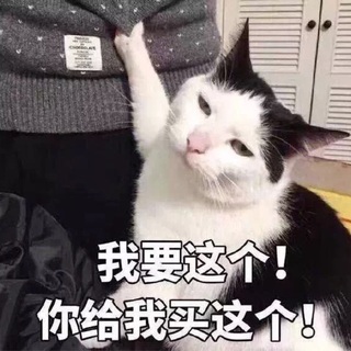 爱吃糖的cat