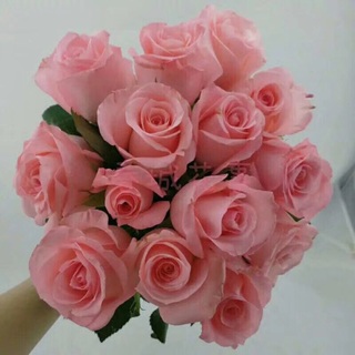 sgk_5_1525085828226