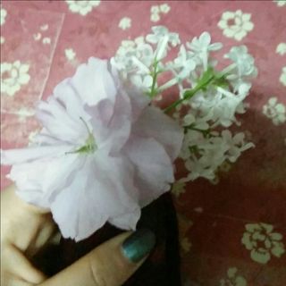 折纸的布花花