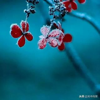 sgk_2_152569267565