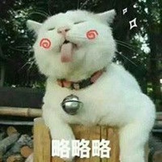 新普及男神颜启