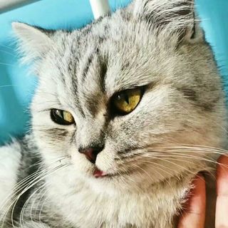 烟雨江南云遮月