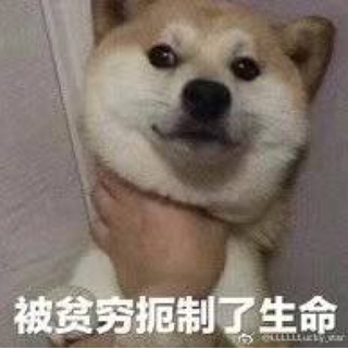 sgk_2_152733626971