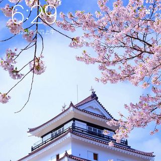 sgk_5_1528148192447
