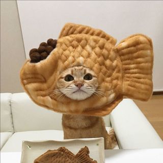 漫手工