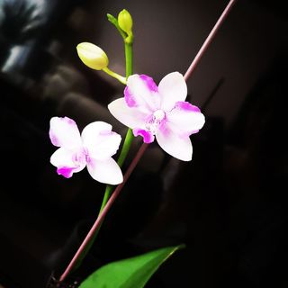 sgk_5_1529683411822