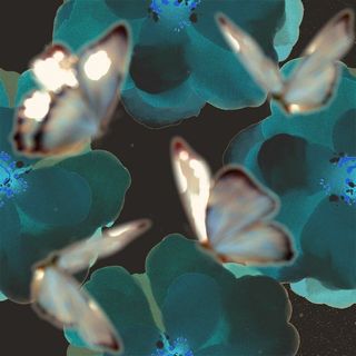 sgk_2_1530367078491