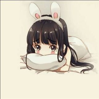 ~樛木木的小白