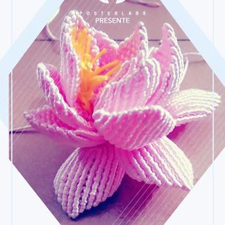 sgk_5_1531402402645
