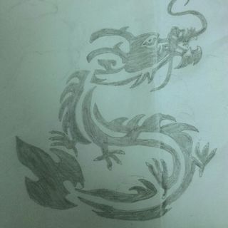 聪明的猪