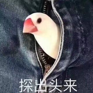 青一大官人