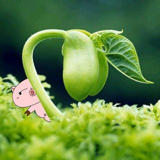 正在成长的佩琪