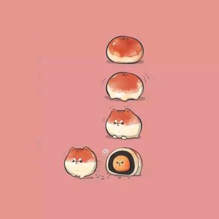 兔兔兔兔兔～too