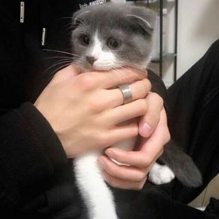 容时