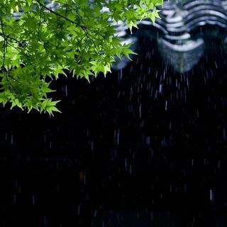 倚楼听风雨♞