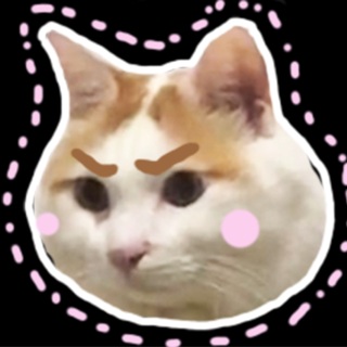 山中霸王南瓜猫