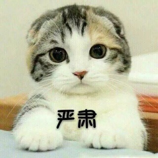 王走走