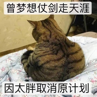 大酥酥