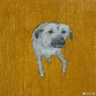 高丑丑
