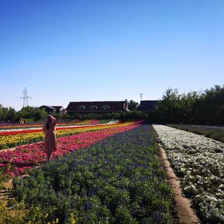 sgk_5_1545031353873