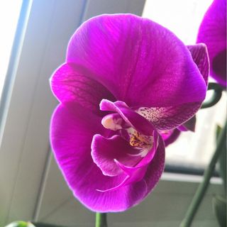 sgk_m_1549690940160