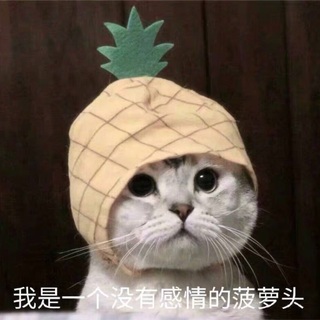 相半伊生