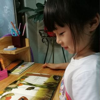 薇淘