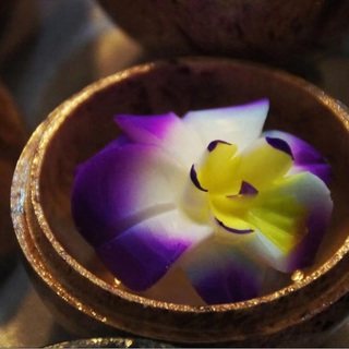 奎艺精雕皂花