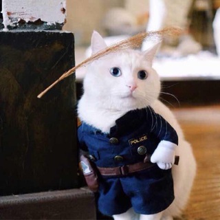 稻子手作