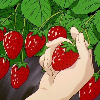 银砸儿