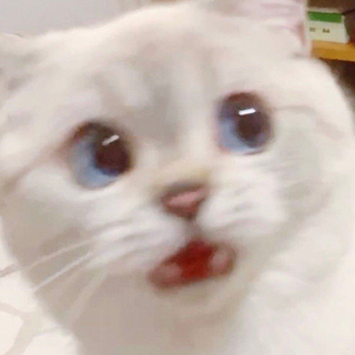 瑶瑶不可爱吗