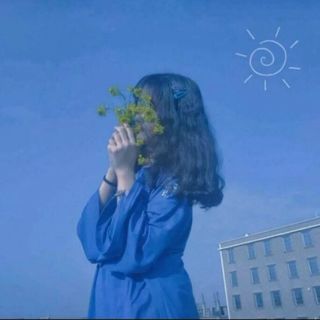 圎清