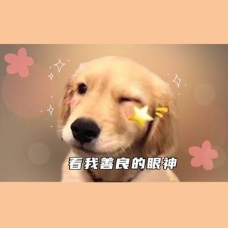 上天入地南小蛮