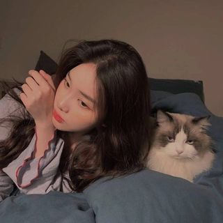 手工客19053775