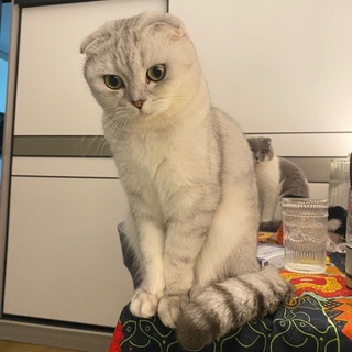 奇怪因子