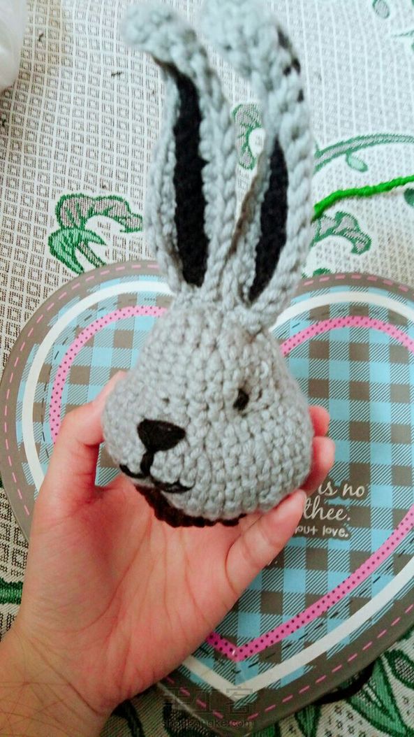 兔子先生🐰 第1张