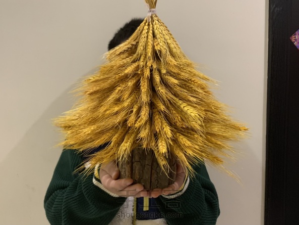 12月的圣诞树🎄
用干麦穗做一棵 第2张