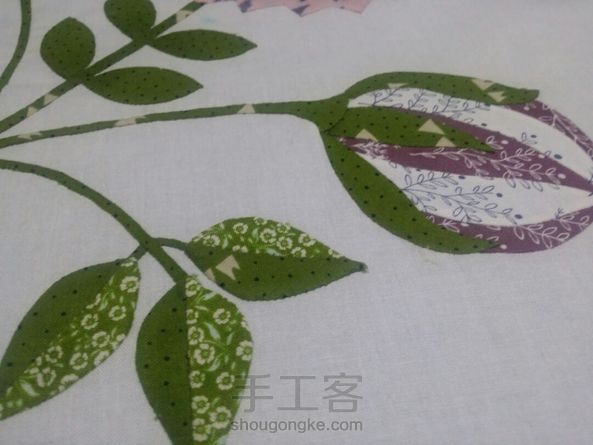 2018的BOM女王的花园(四):Autumn flowers 第1张