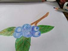 残了，画不出来效果